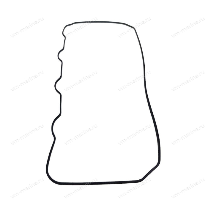Прокладка крышки головки F50-F60 F60-05000003
