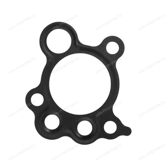 Прокладка насоса масляного F9.9 1056-08016