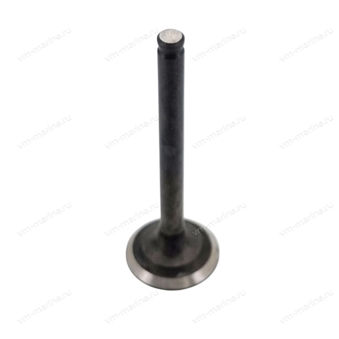 Клапан впуска F6A F6-04050001