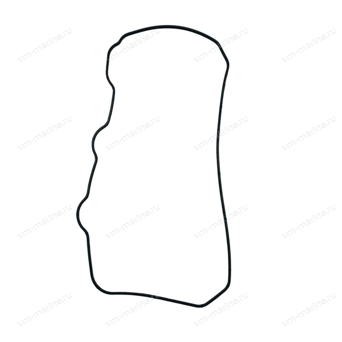 Прокладка крышки головки F40 F40-05000002