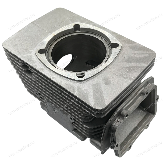 Цилиндр Ski Doo 550 420-623-142