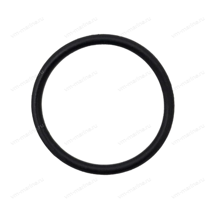 Уплотнительное кольцо крышки сальников Suzuki DF200-300 09280-40016