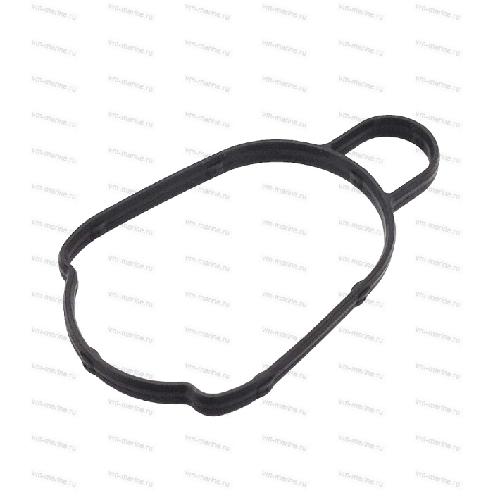 Уплотнение Suzuki DF250-300 55122-93L00