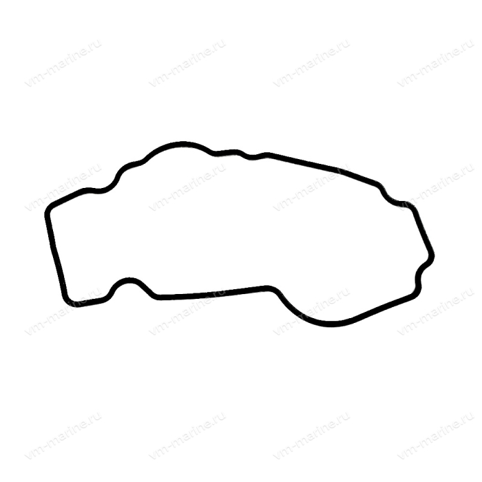 Прокладка корпуса (поплавковой камеры) F40-F100 6C5-14984-10