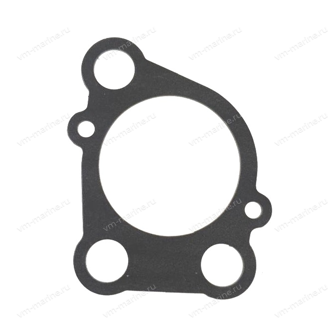 Прокладка корпуса помпы E8D 655-44315-A1