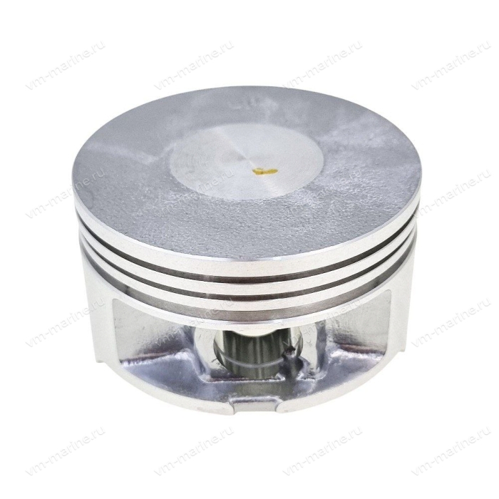 Поршень F6 F6-01.05.05.01