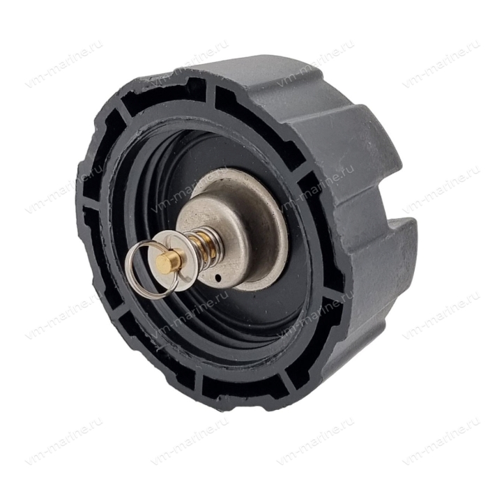 Крышка бака топливного 6YJ-24610-01