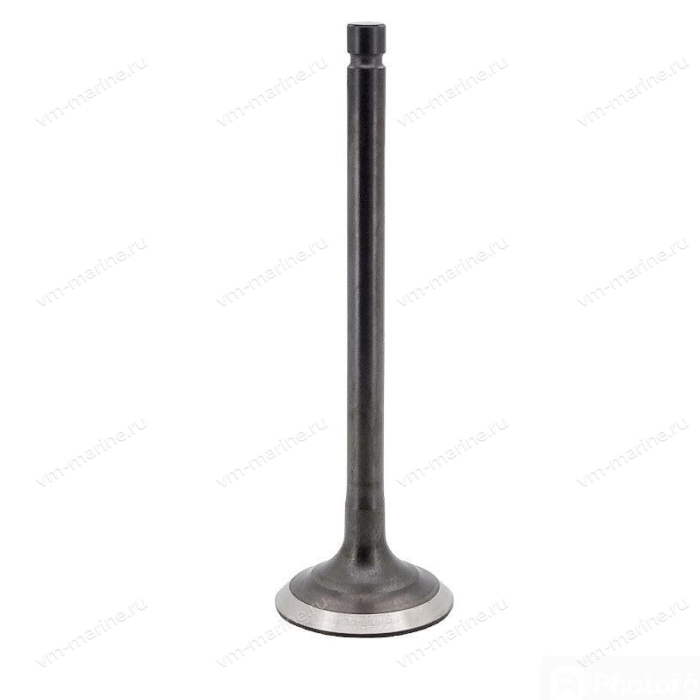 Клапан выпуска F25-F60 F25-05050002