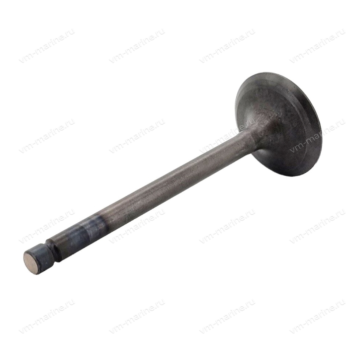 Клапан впуска F9.9H, F15C, F20B 6AH-12111-00