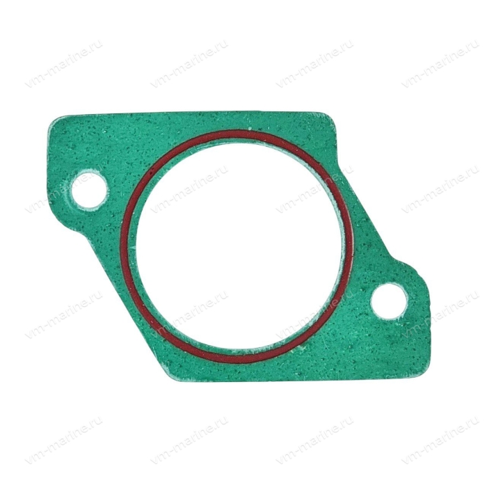 Прокладка глушителя впуска 9.9-20 лс 20F-01.02.00.01