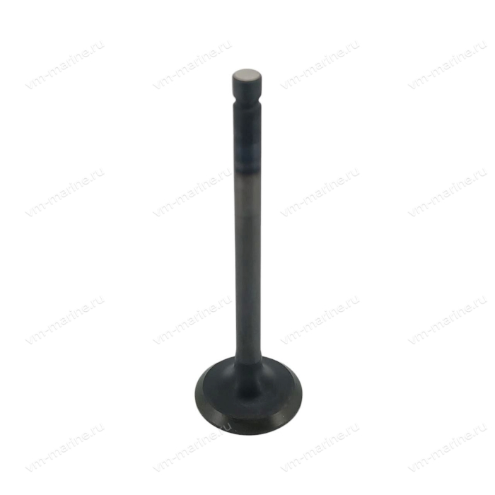 Клапан выпуска F9.9H, F15C, F20B 6AH-12121-10