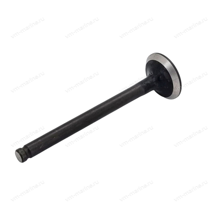 Клапан выпуска F6-F9.8 F8-05030002