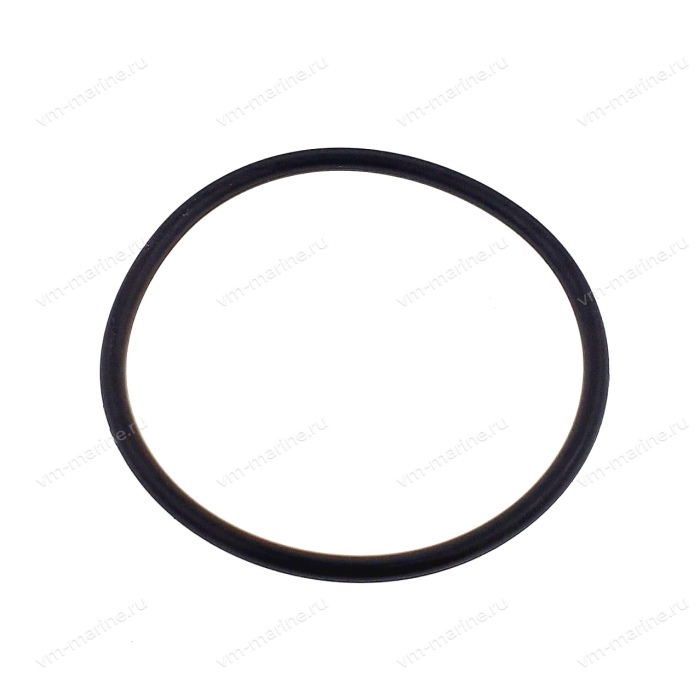 Кольцо уплотнительное основания помпы Tohatsu 60-140 3B7-65015-0