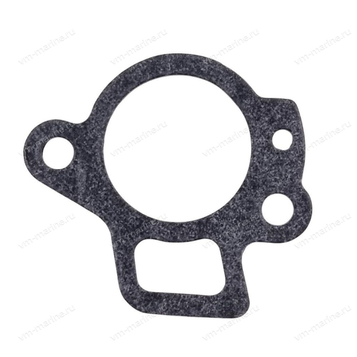 Прокладка крышки термостата 9.9-60 F15-07010022