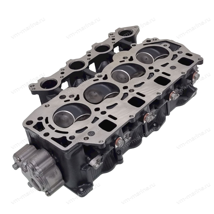 Головка блока цилиндров в сборе F60A 69W-W009A-01-9S