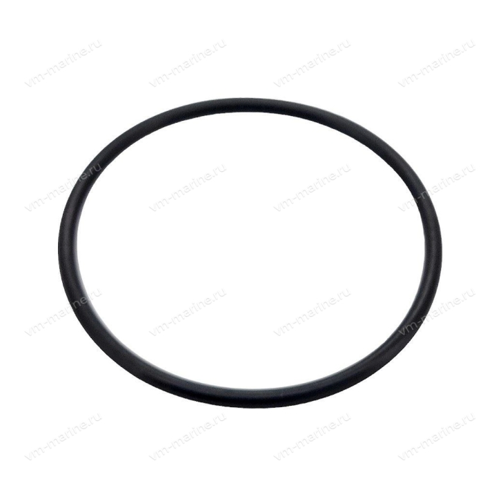 Уплотнительное кольцо корпуса подшипников вала гребного винта Mercury 25-60 25-815460