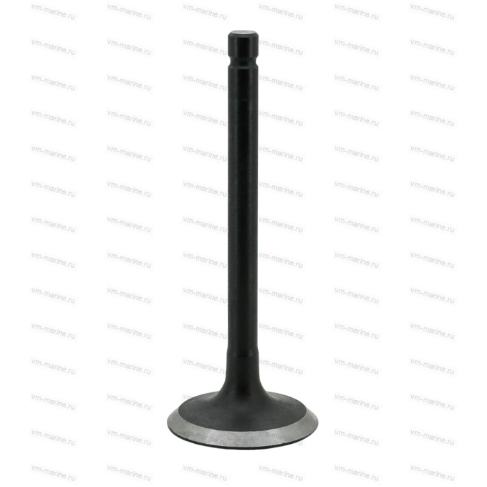 Клапан впускной F9.9B, F15B F15-07040001