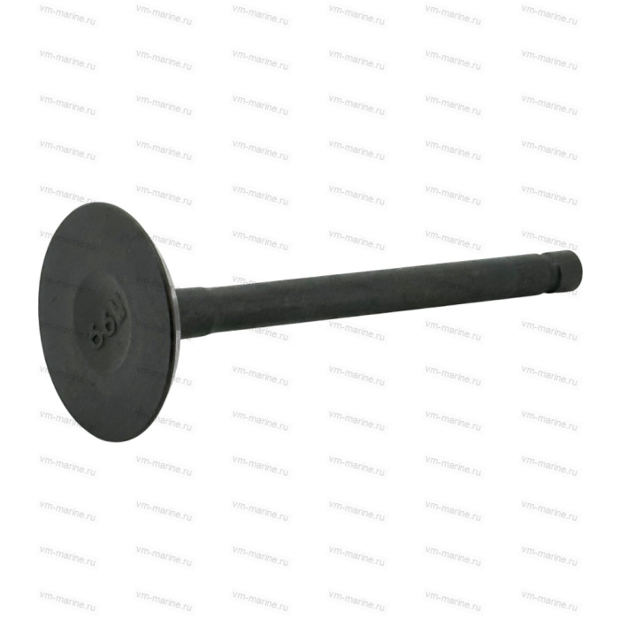 Клапан впускной F9.9B, F15B F15-07040001