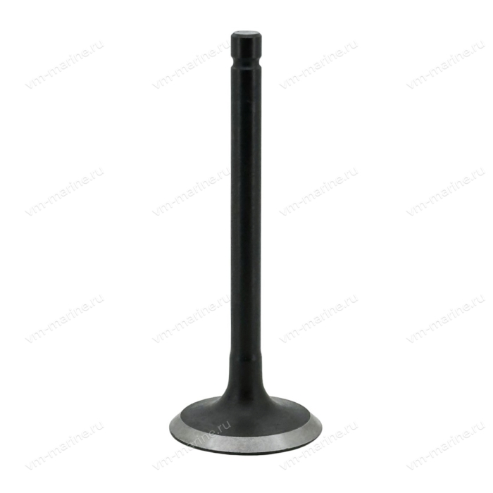 Клапан впускной F9.9B, F15B F15-07040001