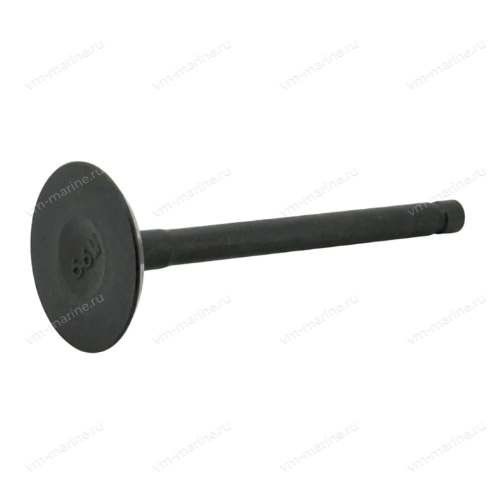 Клапан впускной F9.9B, F15B F15-07040001