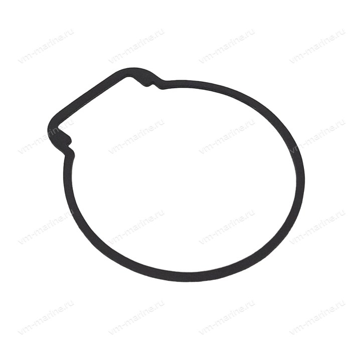 Прокладка поплавковой камеры 5D, E8D, 9.9D, 15D 677-14384-02