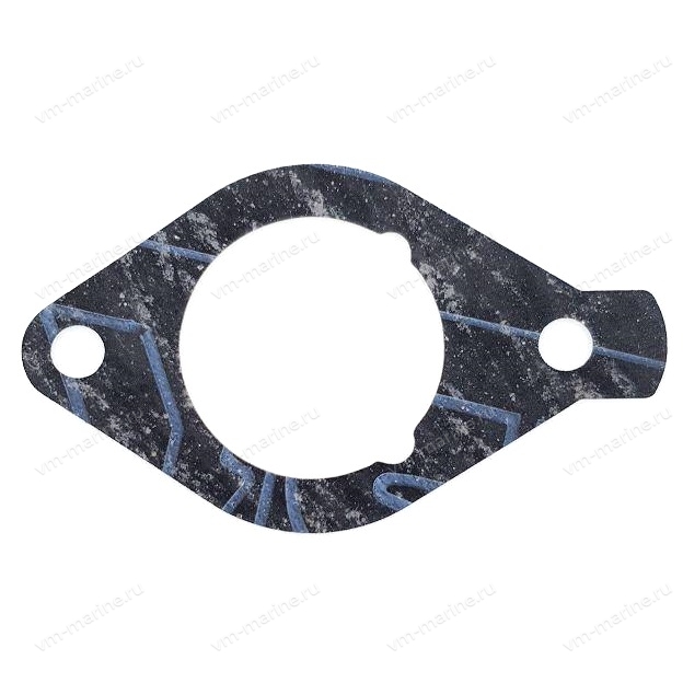 Прокладка впуска F15C, F20B 6AH-13646-00
