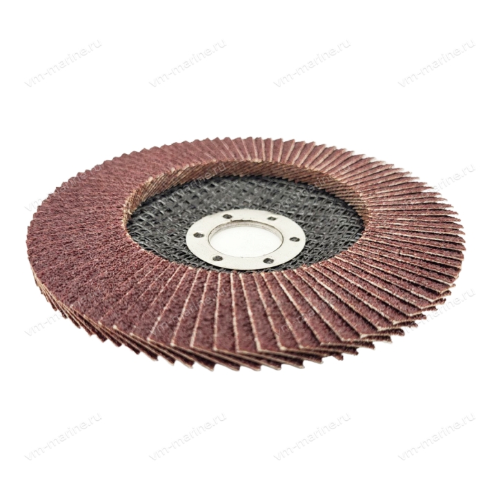 Диск торцевой лепестковый (100) FD-12522A100-R